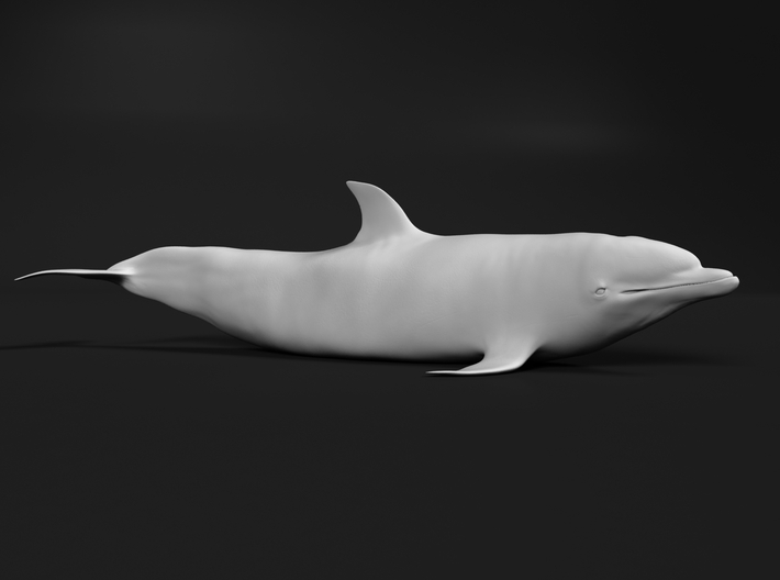 Bottlenose Dolphin 1:16 Out of the water 2 3d printed 