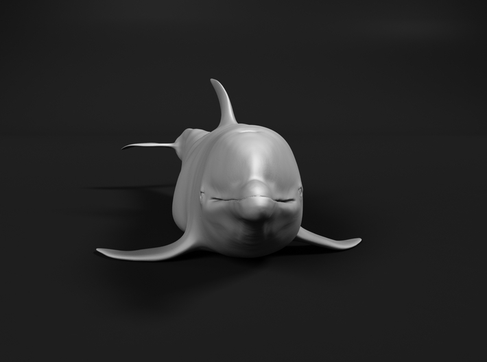 Bottlenose Dolphin 1:48 Out of the water 2 3d printed