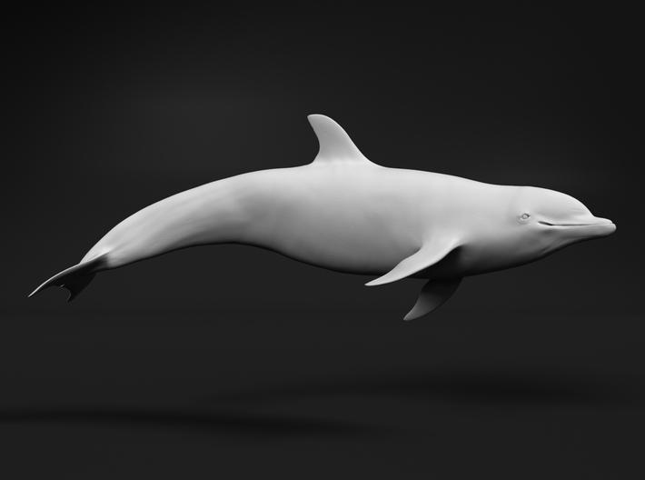 Bottlenose Dolphin 1:76 Swimming 1 3d printed 
