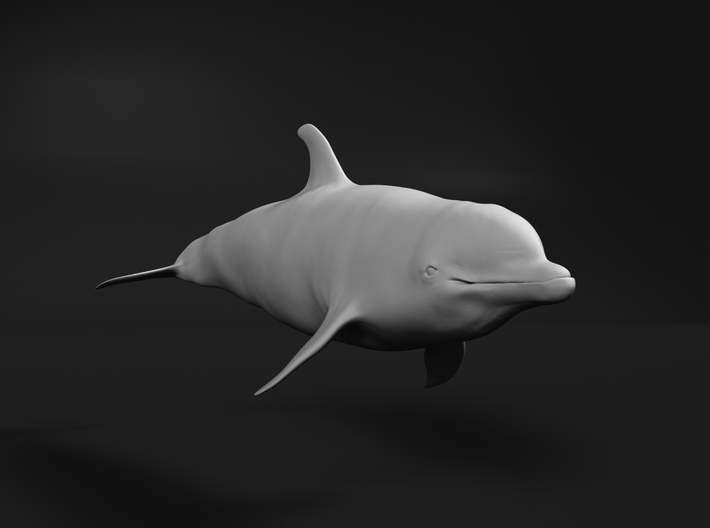 Bottlenose Dolphin 1:45 Swimming 2 3d printed