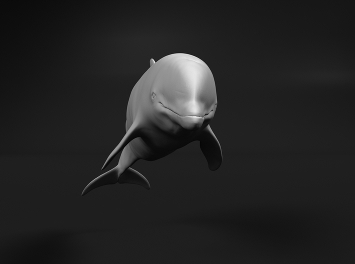 Bottlenose Dolphin 1:160 Swimming 3 3d printed 