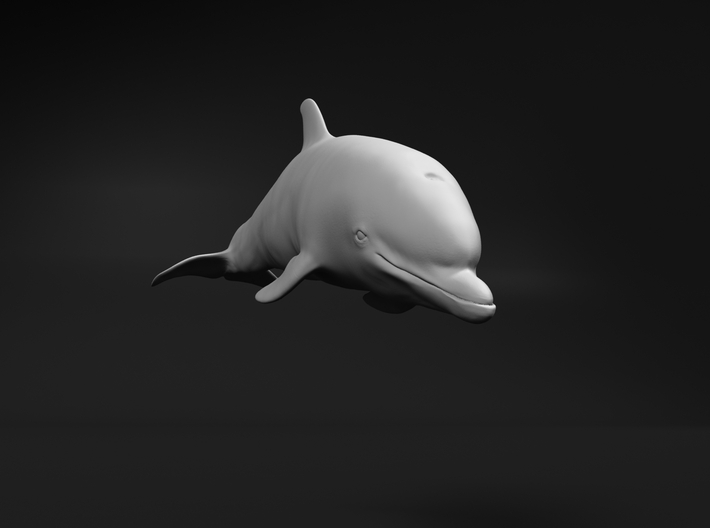 Bottlenose Dolphin 1:87 Calf 1 3d printed 