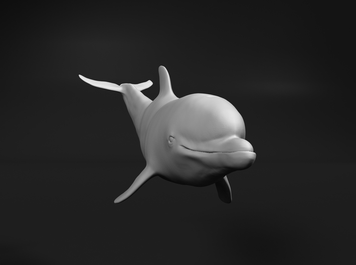 Bottlenose Dolphin 1:35 Calf 2 3d printed 