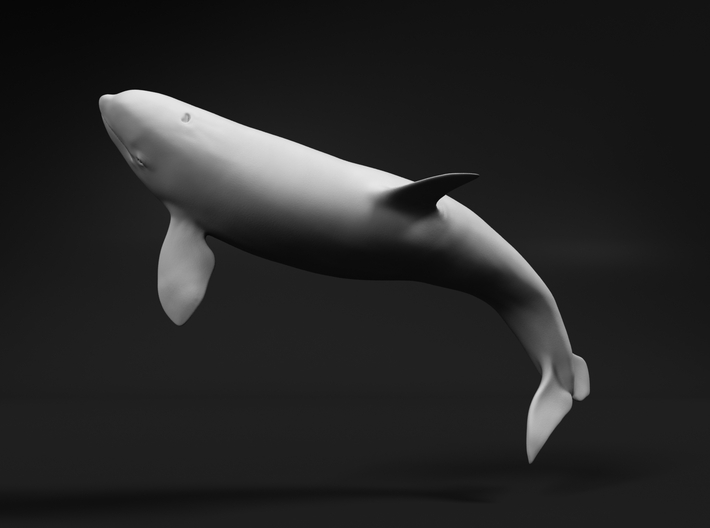 Killer Whale 1:160 Breaching Female 3d printed 
