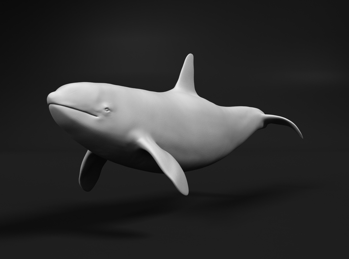 Killer Whale 1:160 Swimming Female 2 3d printed 
