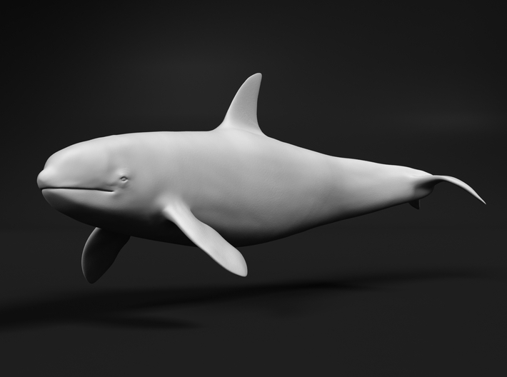 Killer Whale 1:96 Swimming Female 3 3d printed