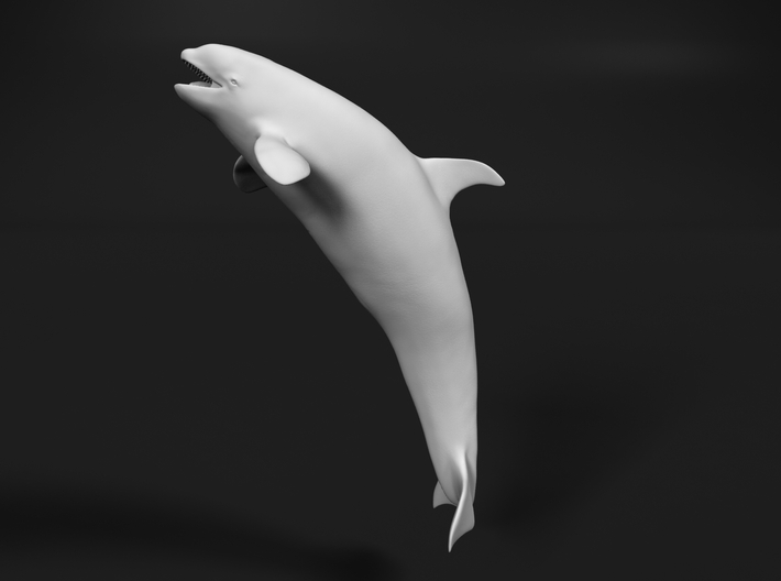 Killer Whale 1:350 Female with mouth open 1 3d printed 