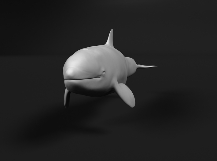 Killer Whale 1:350 Calf 1 3d printed 