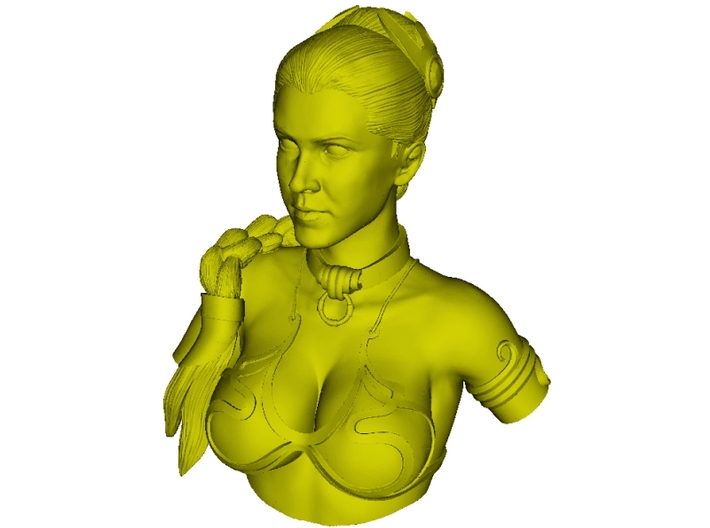 1/9 scale princess Leia Organa bust 3d printed