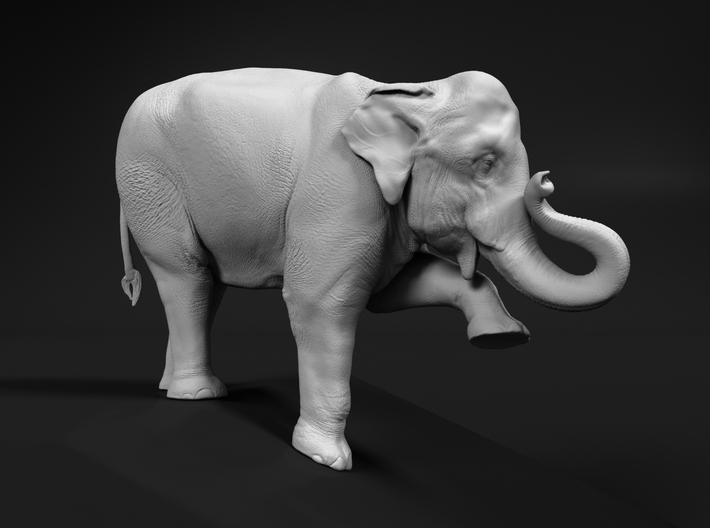 Indian Elephant 1:45 Female on top of slope 3d printed