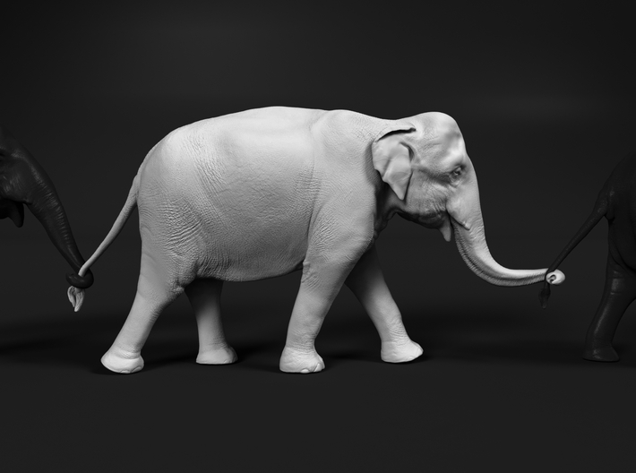 Indian Elephant 1:35 Female walking in a line 3 3d printed