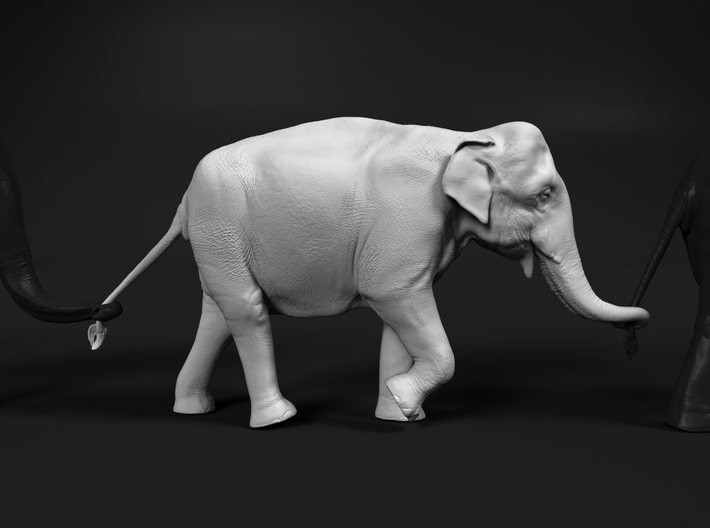 Indian Elephant 1:35 Female walking in a line 2 3d printed 