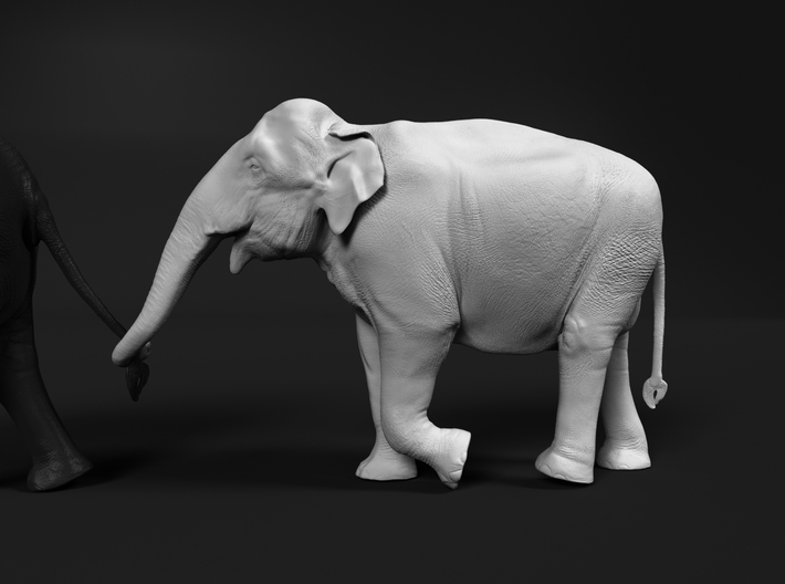 Indian Elephant 1:12 Female walking in a line 4 3d printed
