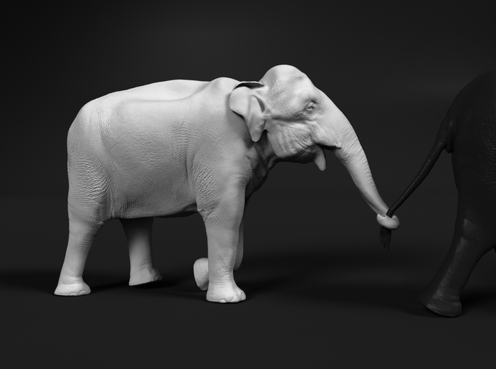 Indian Elephant 1:22 Female walking in a line 4 3d printed