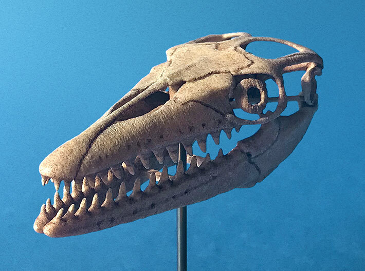 Mosasaurus skull 3d printed 