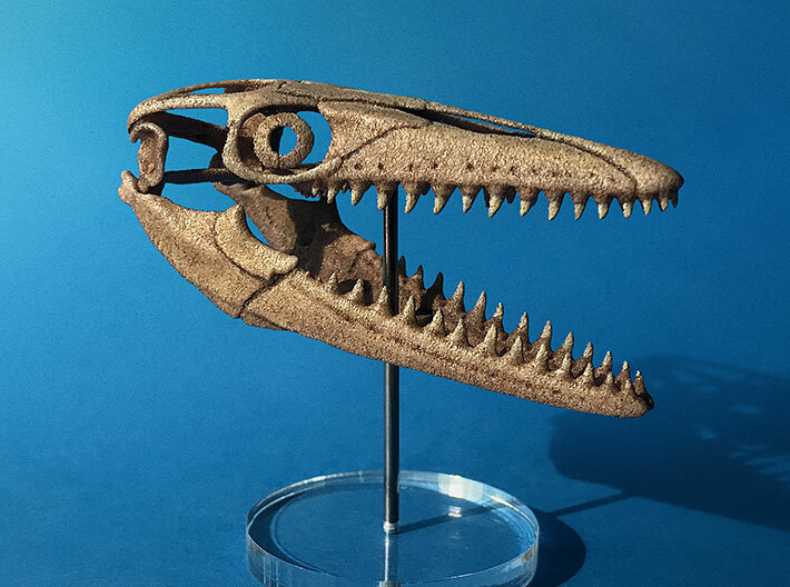 Mosasaurus skull 3d printed 
