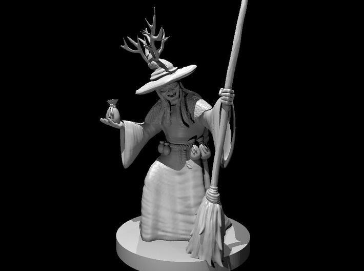 Barovian Witch 3d printed 