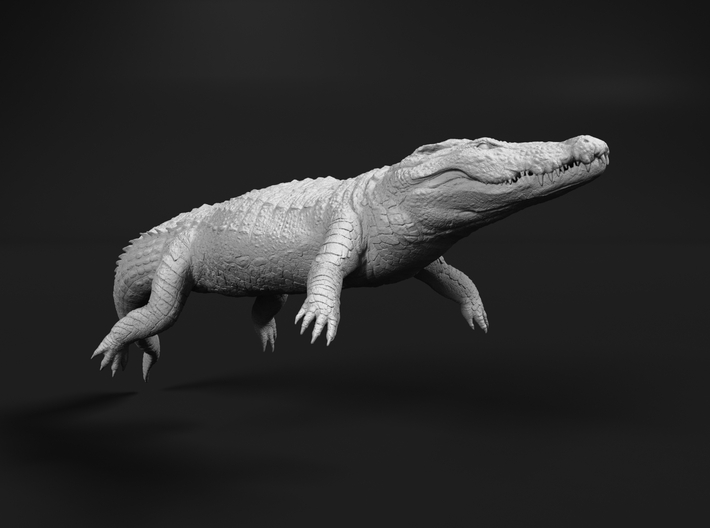 Nile Crocodile 1:6 Lying in Water 3d printed