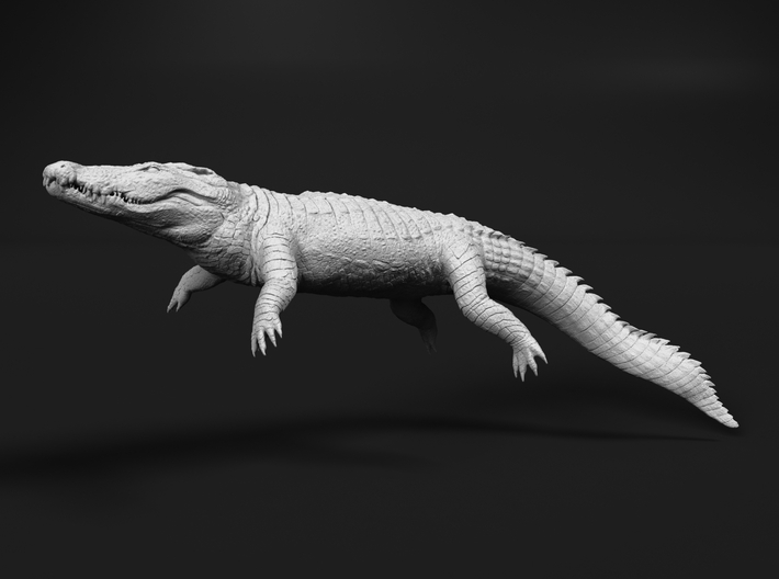 Nile Crocodile 1:45 Lying in Water 3d printed