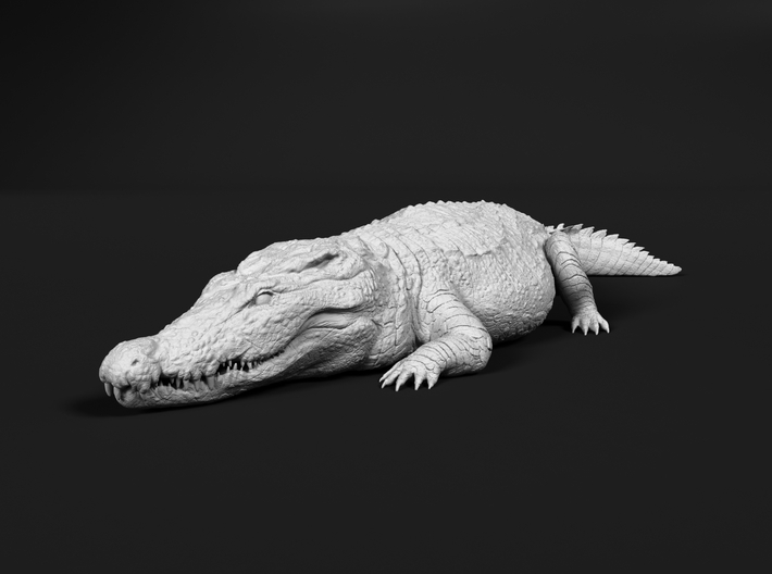 Nile Crocodile 1:20 Sunbathing 3d printed 