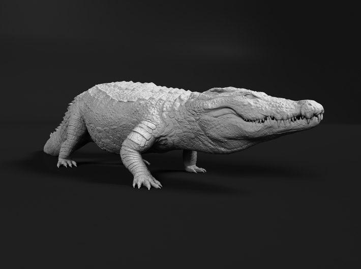 Nile Crocodile 1:6 High Walk 3d printed