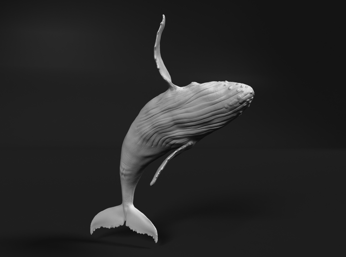 Humpback Whale 1:350 Breaching Male 3d printed 
