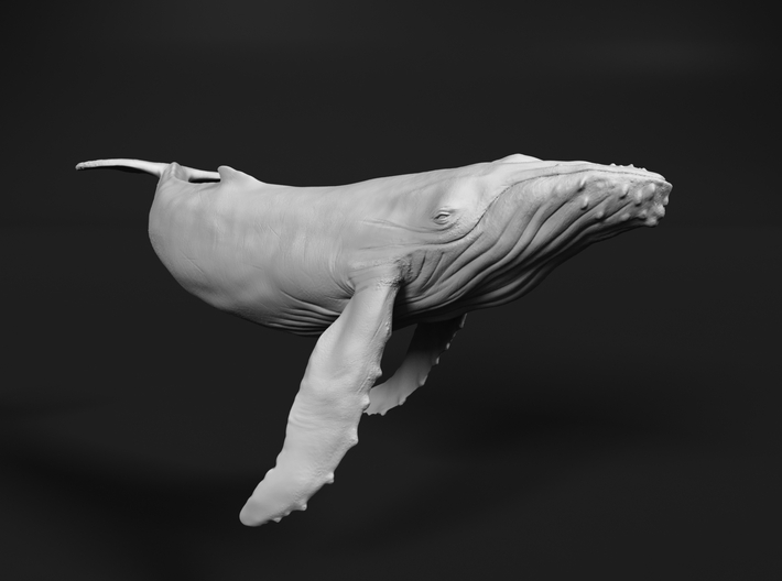 Humpback Whale 1:220 Swimming Calf 3d printed