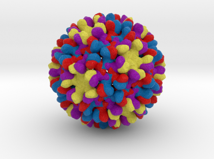 Duck Hepatitis B Virus 3d printed