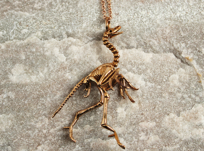 Archaeopteryx Pendant - Paleontology Jewelry 3d printed Archaeopteryx Pendant in natural bronze