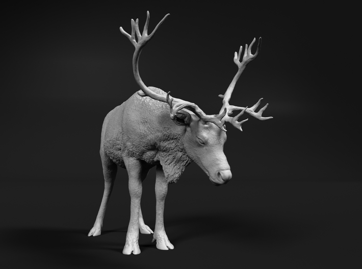 Reindeer 1:20 Standing Female 1 3d printed 