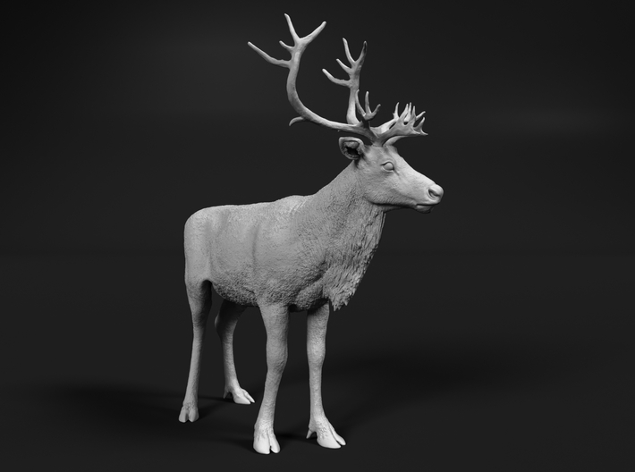 Reindeer 1:20 Standing Female 3 3d printed
