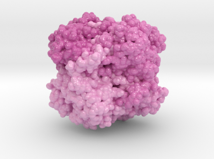 Catalase 1QQW 3d printed