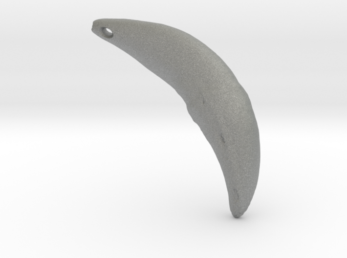 Wolf Fang Pendant (R) 3D-scan composite (DOWNLOAD) 3d printed