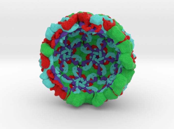 Infectious Enterovirus-E Half 3d printed