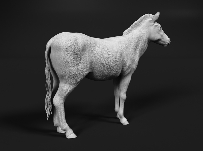 miniNature's 3D printing animals - Update January 5: multiple new models and appearance on Dutch tv - Page 18 710x528_33929888_11295767_1612101379_1_0