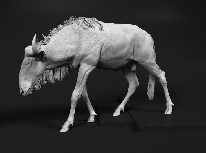 Blue Wildebeest 1:32 Male on uneven surface 2 3d printed