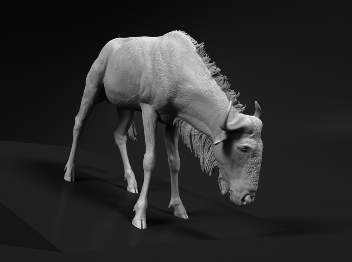 miniNature's 3D printing animals - Update January 5: multiple new models and appearance on Dutch tv - Page 18 710x528_34113449_17963264_1613843304_1_0