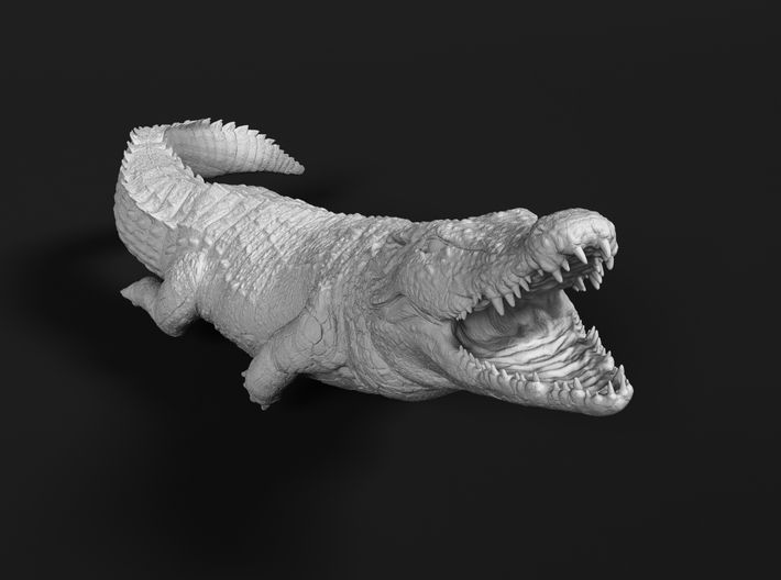Nile Crocodile 1:22 Smaller one attacks in water 3d printed