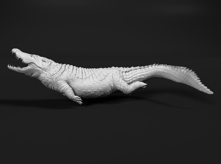 Nile Crocodile 1:48 Smaller one attacks in water 3d printed