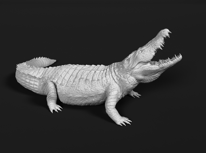 Nile Crocodile 1:9 Lifted head with mouth open 3d printed