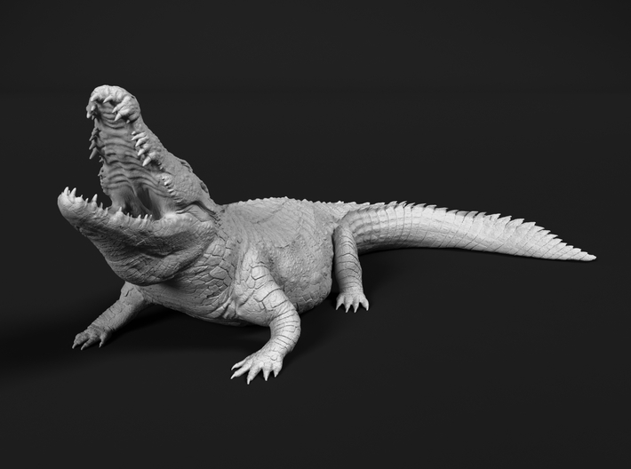 Nile Crocodile 1:12 Lifted head with mouth open 3d printed
