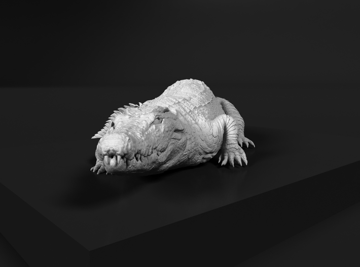 Nile Crocodile 1:20 Smaller one on river bank 3d printed