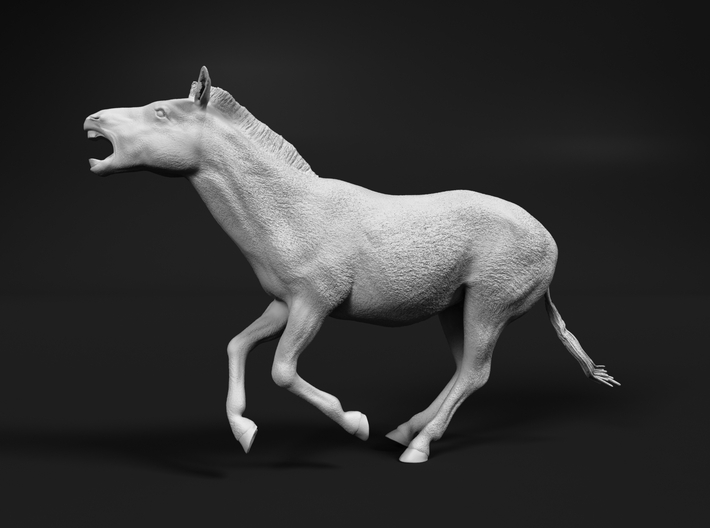 miniNature's 3D printing animals - Update January 5: multiple new models and appearance on Dutch tv - Page 18 710x528_34169946_17989695_1614365964_1_0