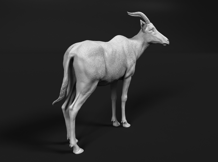 miniNature's 3D printing animals - Update January 5: multiple new models and appearance on Dutch tv - Page 18 710x528_34170447_17989859_1614368140_1_0