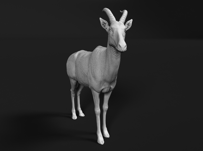Topi 1:64 Standing Male 3d printed