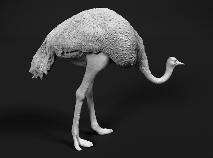 Ostrich 1:120 Head Down 3d printed 