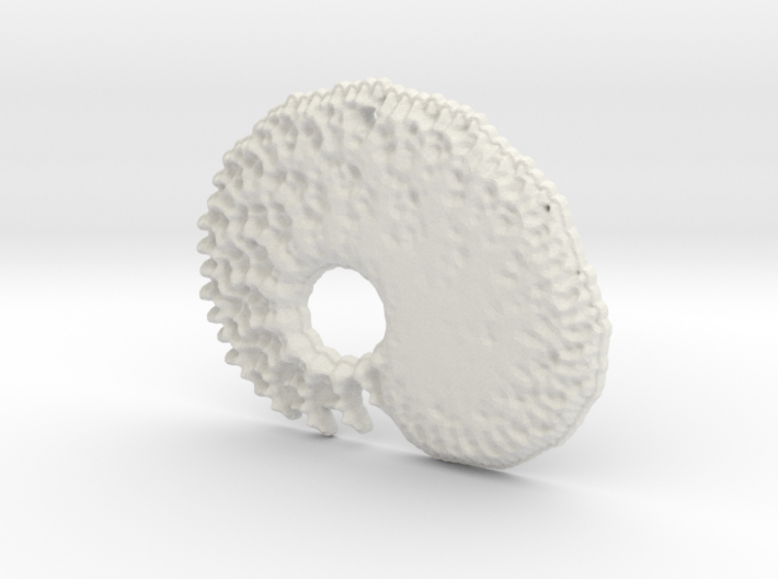 3D Fractal Tadpole Pendant 3d printed