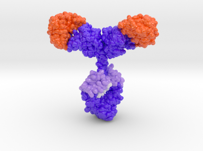 Recombinant Antibody 3d printed