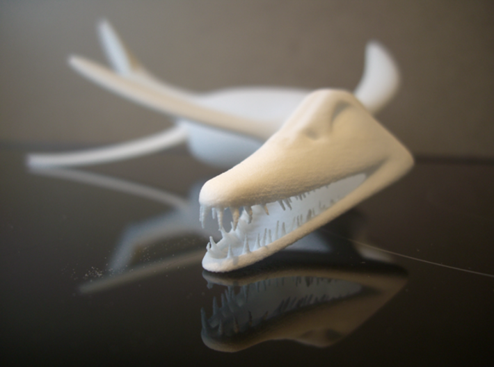 Simolestes (Jurassic marine reptile) 3d printed