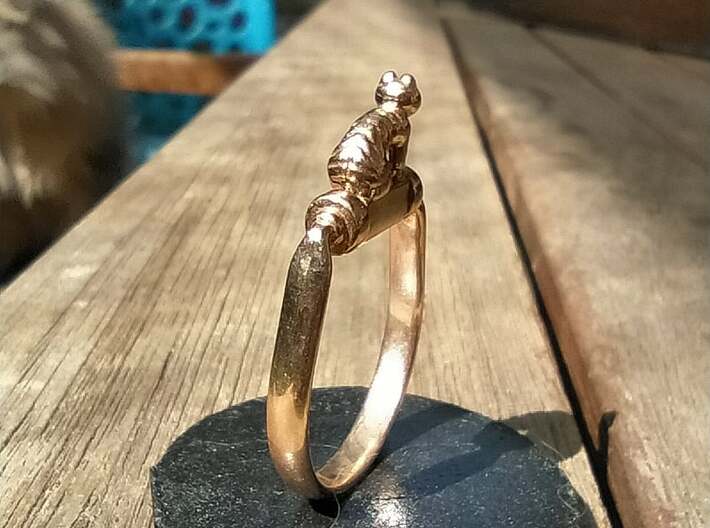 Egyptian Cat Ring, Variant 1 3d printed The ring in Polished Bronze. 